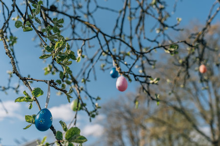 Painted colorful Easter eggs hanging on tree branches in spring with young leaves.の写真素材
