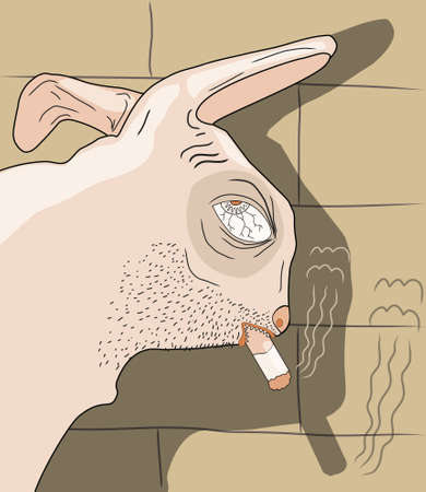 very sad bunny, illustrationのイラスト素材