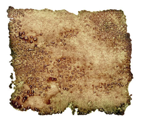 Stained old paper with rough edges