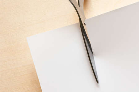 paper note cuted with scissors の写真素材