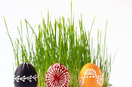 Easter eggs in the grass