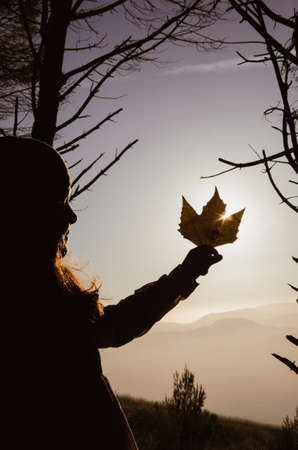 Little girl holding autumn leaf at the sunsetの写真素材