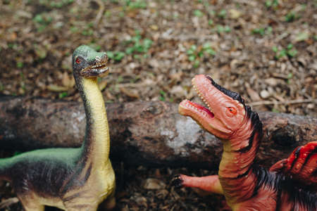 two plastic dinosaur models outdoors