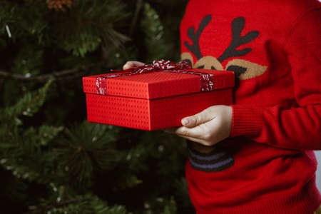 Child hands detail with christmas giftの写真素材