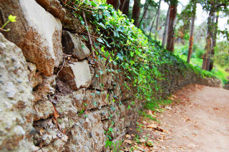 rocksの写真素材