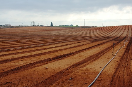 Freshly tilled farm field ready for plantingの写真素材