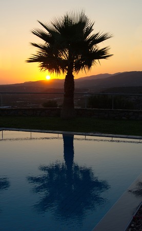 Lone Palm Silhouette reflecting in a pool on a summer vacation   The sun is rising in the background over the Cretan mountains in Malia, Crete near Heraklion, Greeceのeditorial素材