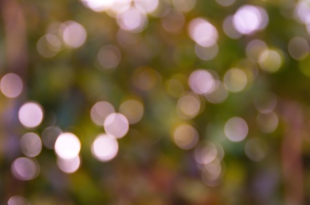 Background of out of focus bokeh Christmas lights in red, pink, and other colorsの写真素材