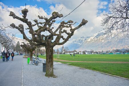 INTERLAKEN, SWITZERLAND - APRIL 5, 2015: Stunning pollarded Sprouting Plane trees, mountain views, and people on Alpenstrasse, the main street of Interlaken, Switzerlandのeditorial素材
