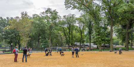 NEW YORK CITY - OCT. 8, 2016: People playing with their dogs in a dog yard at Central Park's Heckscher Playgroundのeditorial素材