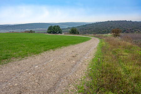 Nature path and the beautiful green valleys, gently rolling hills, and mountains of the Carmel and Lower Galilee regions between Zihron Yaakov, Nazareth, and Safed in Israelの写真素材