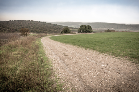 Nature path and the beautiful green valleys, gently rolling hills, and mountains of the Carmel and Galilee regions between Zihron Yaakov, Nazareth, and Safed in Israel - Vintage retro effectの写真素材
