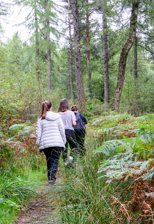 A family of four (mother and three children) hiking in the a forest near Loch Lomond in the Loch Lomond and Trossachs Naitional Park, Scotlandの写真素材