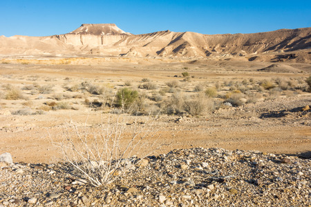 Wind carved rock formations in the Ramon Crater (Makhtesh) in the Southern Israel Negev Desertの写真素材