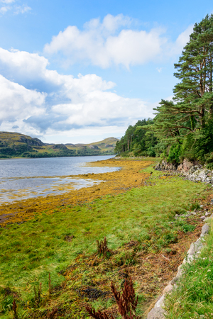 Low tide on Loch Ewe and Inverwe Gardens in Wester Ross, on the west coast of Scotland and the Atlantic Oceanの写真素材