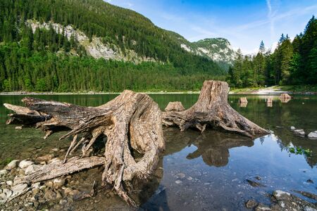 Beautiful spring day on Lake Gosau (Gosausee) in the Austrian Lake Districtの写真素材