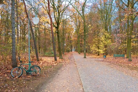 Beutiful Tiergarten Park in Belin, Germany during the fall, with colorful autumn foliage and treesの写真素材