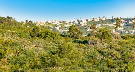 Views of the Carmel Moutains, forest, Mediterranean Sea, and Galilee region in northern Israel on a bright spring morning (golden hour)の写真素材