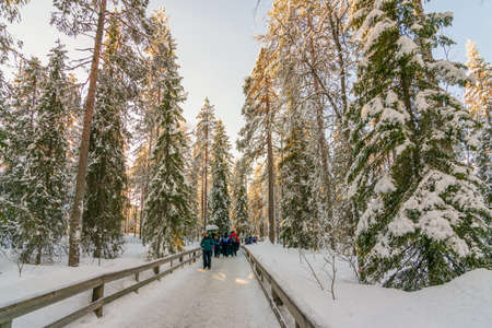 ROVANIEMI, FINLAND - FEB 26 2020: A group of tourists hiking through a frozen snowy forest  in the Lapland country in northen arctic Finland, Scandinaviaのeditorial素材