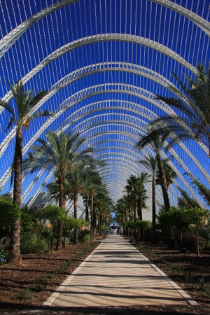Scenes of Valenciaの写真素材