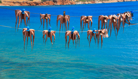 Scenes of Creteの写真素材