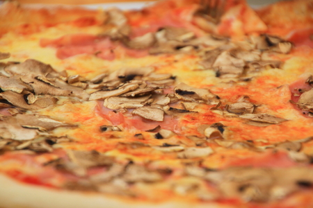 Pizzaの写真素材