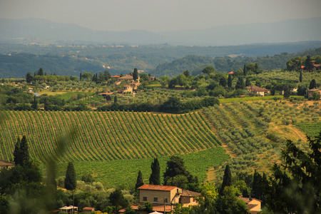 Scenes of Tuscanyのeditorial素材