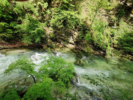 Vintgar Gorge, Slovenia (with Bled)の写真素材