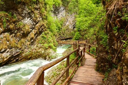Vintgar Gorge, Slovenia (with Bled)の写真素材
