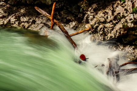 Vintgar Gorge, Slovenia (with Bled)の写真素材