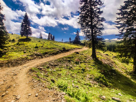 Scenes of Slovenia, Velika Planinaの写真素材