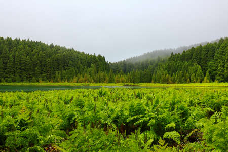 Scenes of Azores