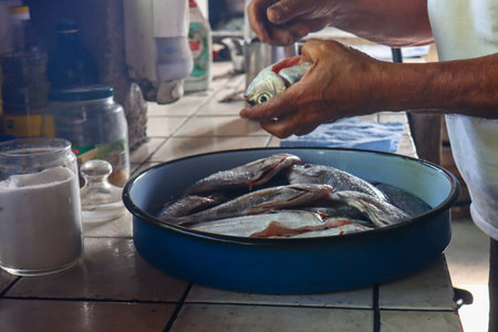 Fresh fish in the fish market. Fish market is a traditional way of selling fish.の写真素材