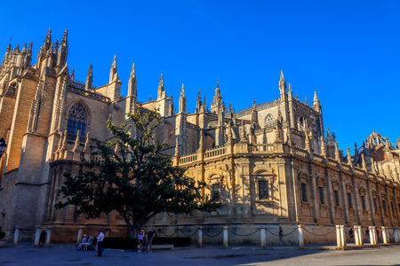 Cathedral of Seville in a beautiful summer day, Spainの写真素材