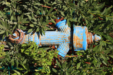 old blue fire hydrant with green leaves on a background of blue skyの写真素材