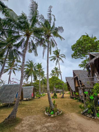 Tropical village with palm trees and bungalows in the Philippinesの写真素材
