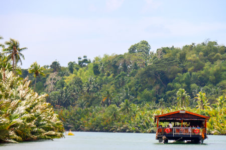 Tourist boat on the river in the tropics on a sunny dayの写真素材