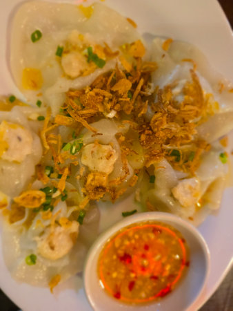 Fried Dumpling with pork and dill.の写真素材