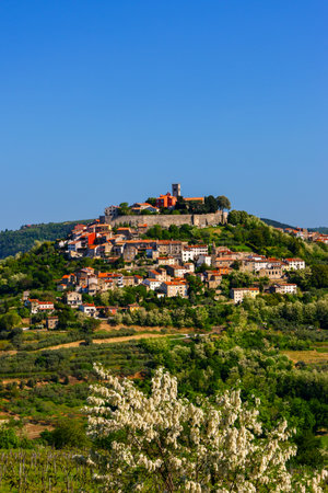Panoramic view of Rovinj, Istria, Croatiaの写真素材
