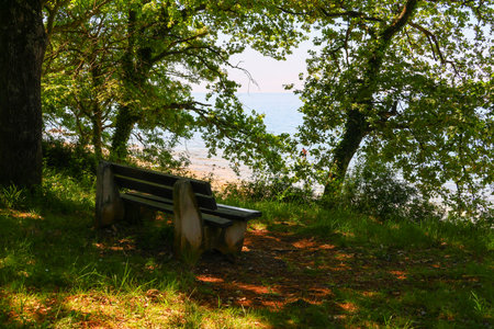 Wooden bench on the shore of Lake Balaton in Hungary.の写真素材