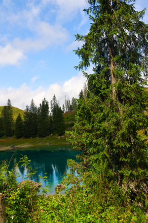 Landscape view of turquoise lake in the mountains with pine trees