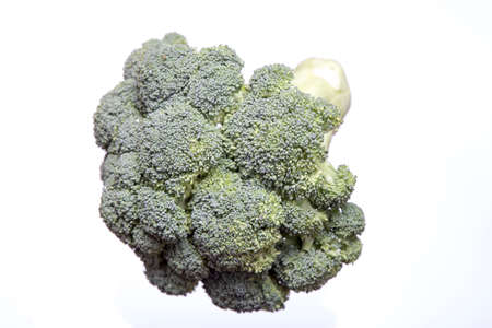 Broccoli, subject shooting on a white backgroundの写真素材
