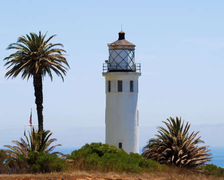 Palm Lightの写真素材