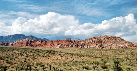 Views of Red Rock Canyonの写真素材