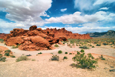 Views from the Valley of Fire in Nevadaの写真素材