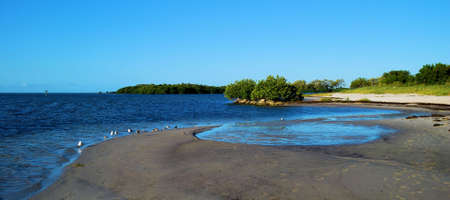 Bird Beachの写真素材