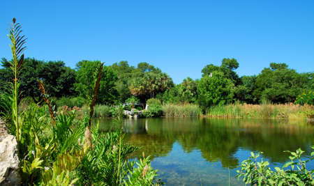 Key West Botanical Gardensの写真素材
