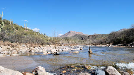 Views of the desert near Phoenix, Arizonaの写真素材
