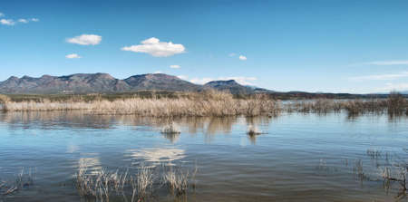 Views From Lake Roosevelt Arizona