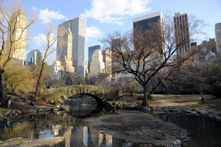 View from Central Park, New Yorkのeditorial素材